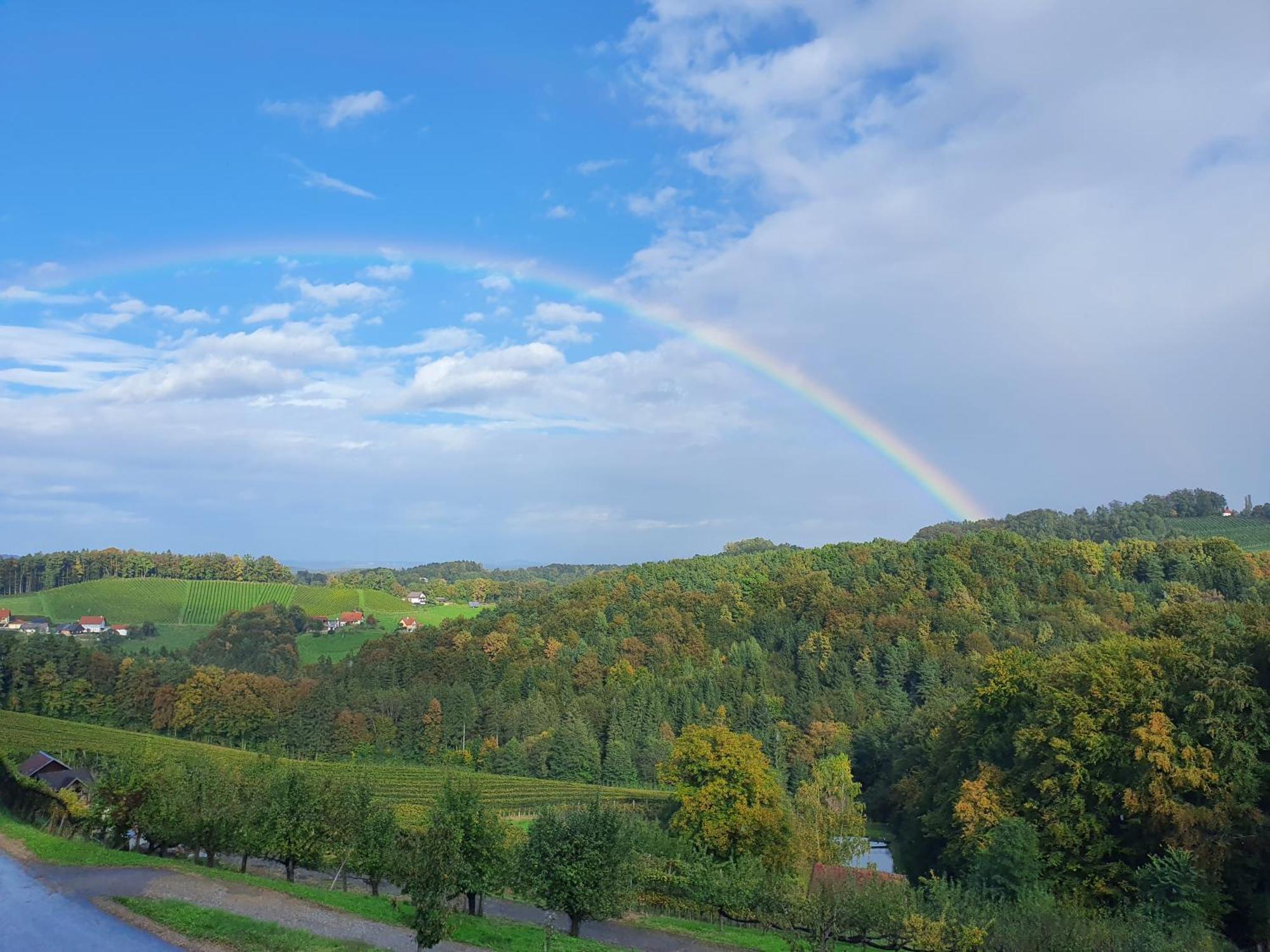 Weingut Pugl Apartment Leibnitz Luaran gambar